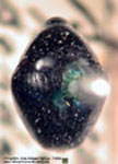  Diorymerus cardinatus
