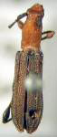 Dihammaphora minuta