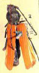  Tragidion bicolor