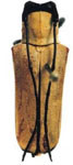  Adesmus acanguana